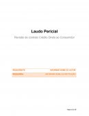 Revisão de Contrato Crédito Direto ao Consumidor