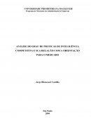 Análise Do Grau De Práticas De Inteligência Competitiva E Sua Relação Com A Orientação Para O Mercado
