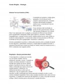 O Estudo Dirigido Fisiologia Sistema Nervoso Entérico