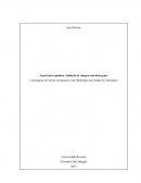 Relatório de experiência sobre titulação do vinagre com detergente