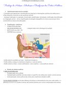A Fisiologia da Audição- Introdução à Classificação das Perdas Auditivas