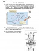 A Fisiologia Humana e Comparada