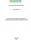 O Estudo Quantitativo Sobre A Prevalência De Automedicação Na Gestação Em Um Município Do Ceará