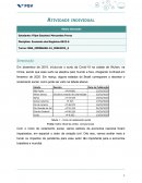 A Matriz Atividade Individual Economia Negócios