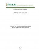 O Uso De Erp`S Para No Desenvolvimento Das Pequenas E Médias Empresas