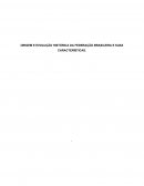 Origem E Evolução Histórica Da Federação Brasileira E Suas Características