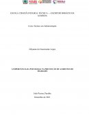 A Importância Da Psicologia Na Prevenção De Acidentes Do Trabalho