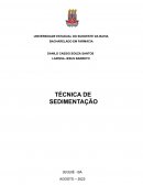 A Técnica De Sedimentação