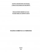 A Violência Doméstica E O Feminicídio