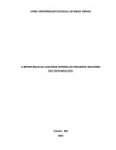 A Importância Da Auditoria Interna No Processo Decisório Das Organizações