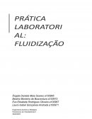 O Objetivo Principal Foi Determinar A Fluidização Das Partículas Para Diferentes Percentagens De Caudal.