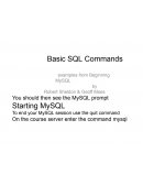 O SQL e MYSQL Comandos Básicos