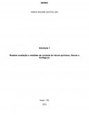 Realizar Avaliação E Medidas De Controle De Riscos Químicos, Físicos E Biológicos