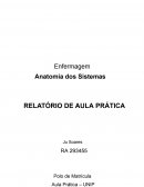 A Enfermagem Anatomia dos Sistemas