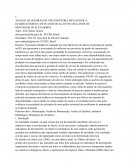 A Análise De Quebras Em Uma Indústria Metalúrgica: Estabelecimento De Planos De Ação Em Uma Linha De Montagem De Elevadores