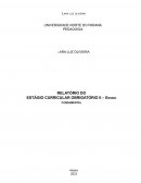 Relato Da Análise Do Projeto Político Pedagógico (PPP)