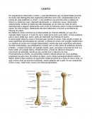 Farmacologia Aplicada a Farmacia