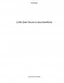 O LLMs Open Source e Seus Benefícios