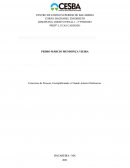 Concursos de Pessoas, Exemplificando e Citando Autores Defensores.