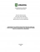 A Importância Do Suporte Psicológico Para Mulheres Que Vivenciaram O Aborto Espontâneo: Uma Pesquisa De Opinião Pública No Município De Ananindeua