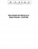 Relatório Prática Bioquímica Clínica