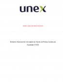 Relatório Semestral de Atividades do Núcleo de Prática Jurídica da Faculdade UNEX