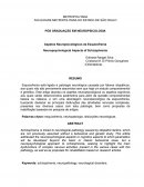 Aspetos Neuropsicológicos da Esquizofrenia Neuropsychological Aspects of Schizophrenia