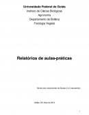 Relatórios De Aulas-Práticas