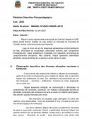 Relatório Descritivo Psicopedagógico