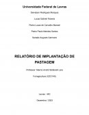 Relatório de Implementação de Pasto