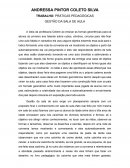 O Estágio Curricular