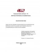 Aspectos Facilitadores De Implantação De Rh Estratégico Em Empresas Do Setor Calçadista Que Possuem Acima De 20 Colaboradores Na Cidade De Nova Serrana