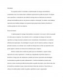 A Participação Individual Gerenciamento de Portfólio e PMO