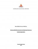 Ciências Morfofuncionais dos Sistemas Nervoso e Cardiorrespiratório