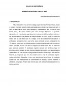 Relato De Experiência Momentos Incríveis Com O 8° Ano