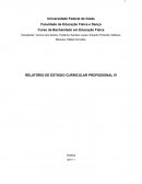 O Estágio Curricular Profissional IV do curso de Bacharelado em Educação Física pela Universidade Federal de Goiás