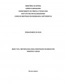 Metodologia Para Construção De Mapas Por Videntes E Cegos