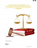 O Processo de Trabalho e os Princípios do Direito Processual do Trabalho