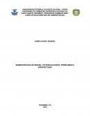 Administração No Brasil: Potencialidades, Problemas E Perspectivas