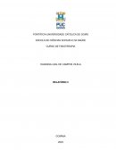 Recuperação Rompimento de LCA