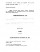 Contrarrazões Apelação Constitucional