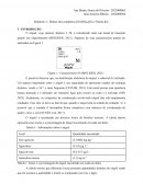 A Síntese dos Complexos [Ni(NH3)3]Cl2 e [Ni(en)3]Cl2