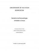 Bromatologia Umidade e Cinzas
