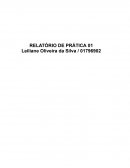 Relatório Prática Bases da Biologia Celular