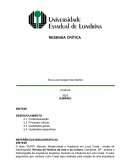 Resenha Crítica sobre Lúcio Costa