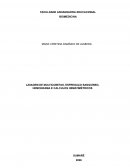 Os Cálculos Hematimetricos Os Cálculos Hematimetricos