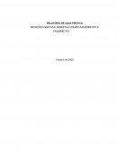 O Paquímetro e Micrômetro