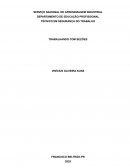 O Técnico de Segurança