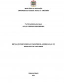 As Condições de Acessibilidade As Condições de Acessibilidade