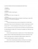 O Parecer Técnico Estabilidade Estrutural